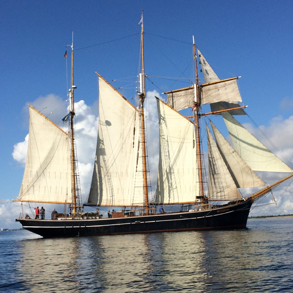 Albatros in der dänischen Südsee